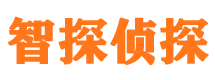 霍邱侦探